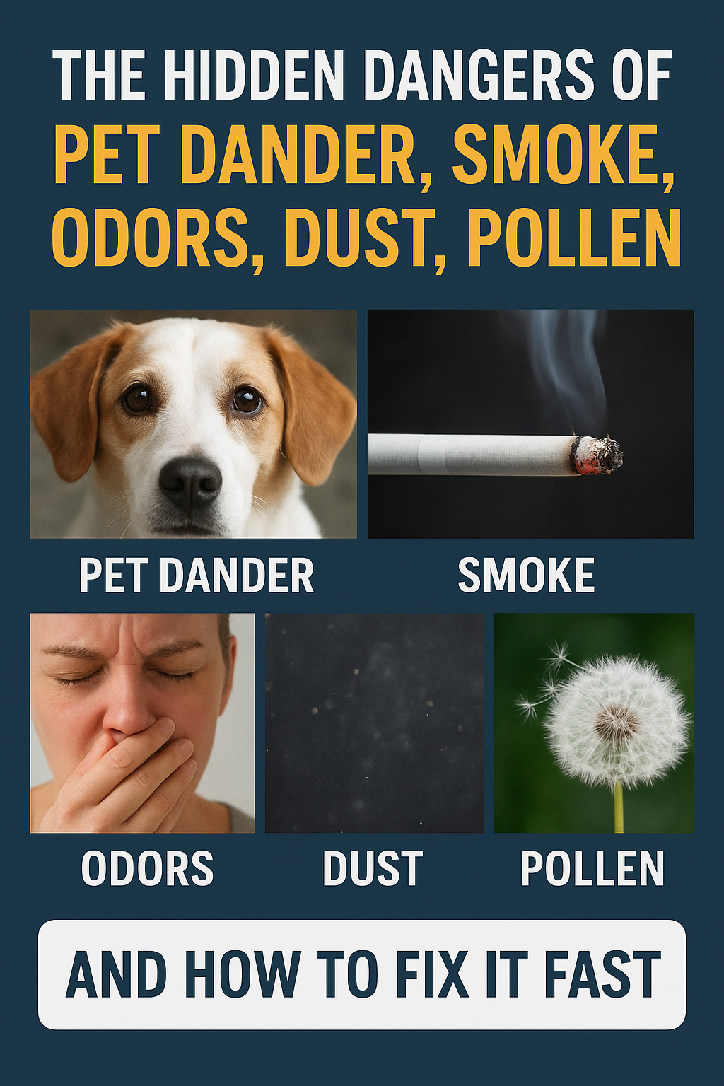 The Hidden Dangers of Pet Dander, Smoke, Dust, Odors & Pollen in Your Home