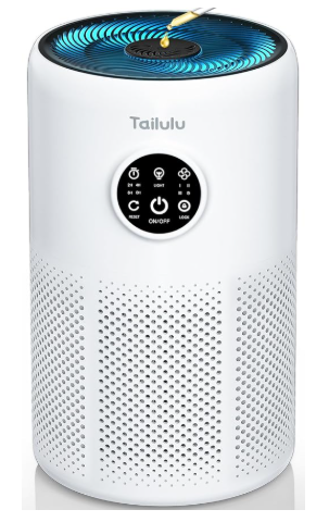 Tailulu D10 Air Purifier Review
